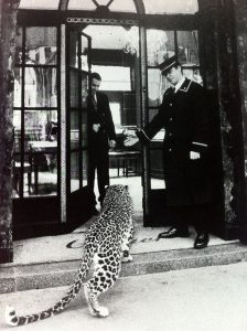 leopard print cartier